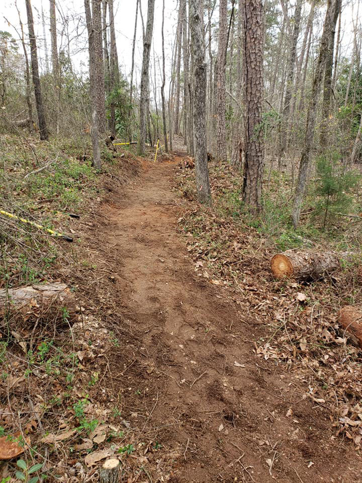 Concord's Brown Mill Mountain Bike Trails